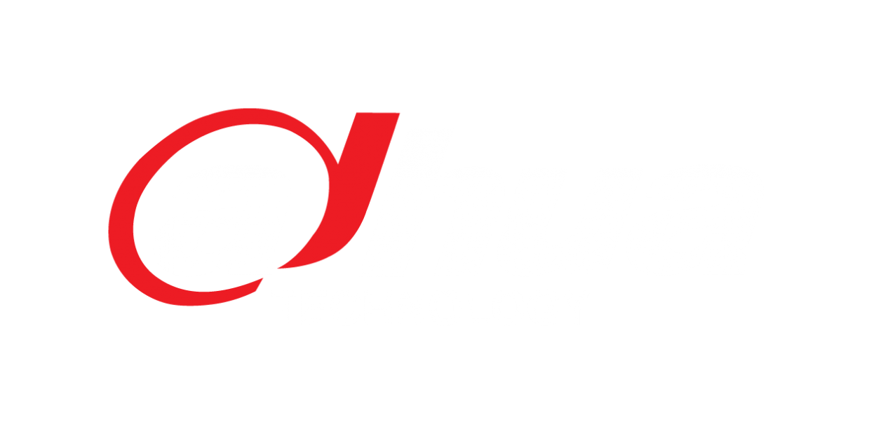 Logo dahua